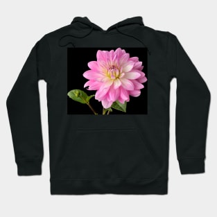 Dahlia Hoodie